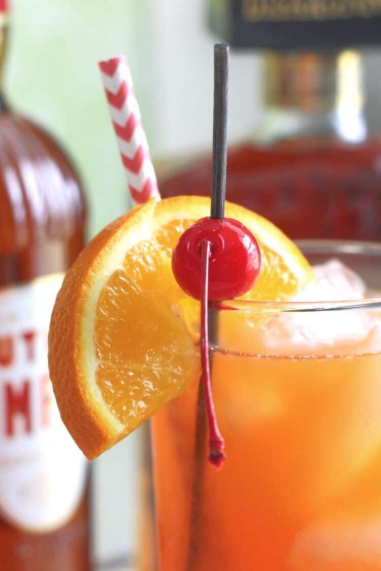 Closeup of Alabama Slammer orange and cherry garnish