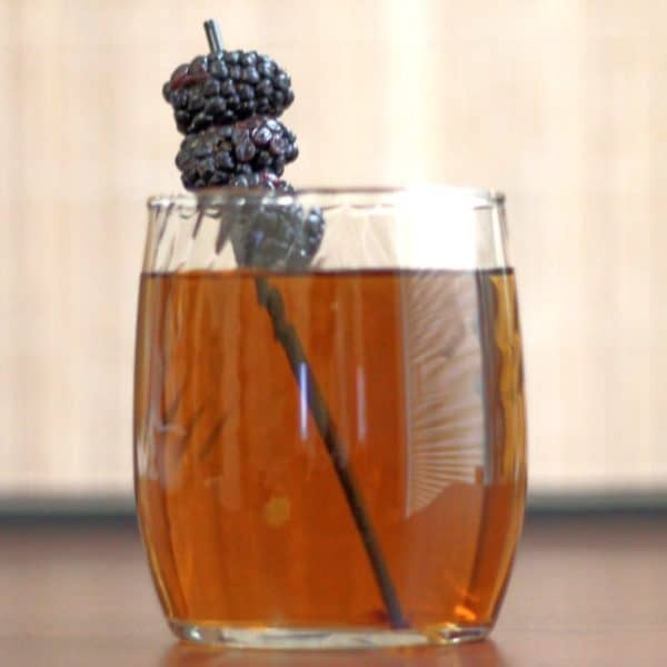 Full-length view of Black Cactus drink with blackberry garnish