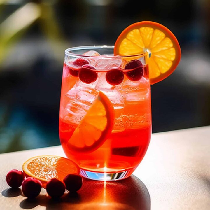 Cranberry Blast drink in glass with ice and orange slice garnish