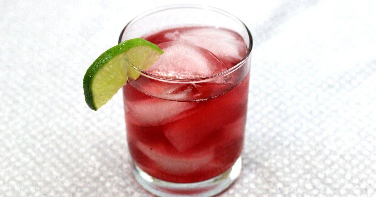 Cranberry Gin cocktail with lime wedge