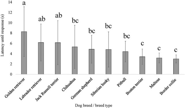 Graph showing pain sensitivity in dogs