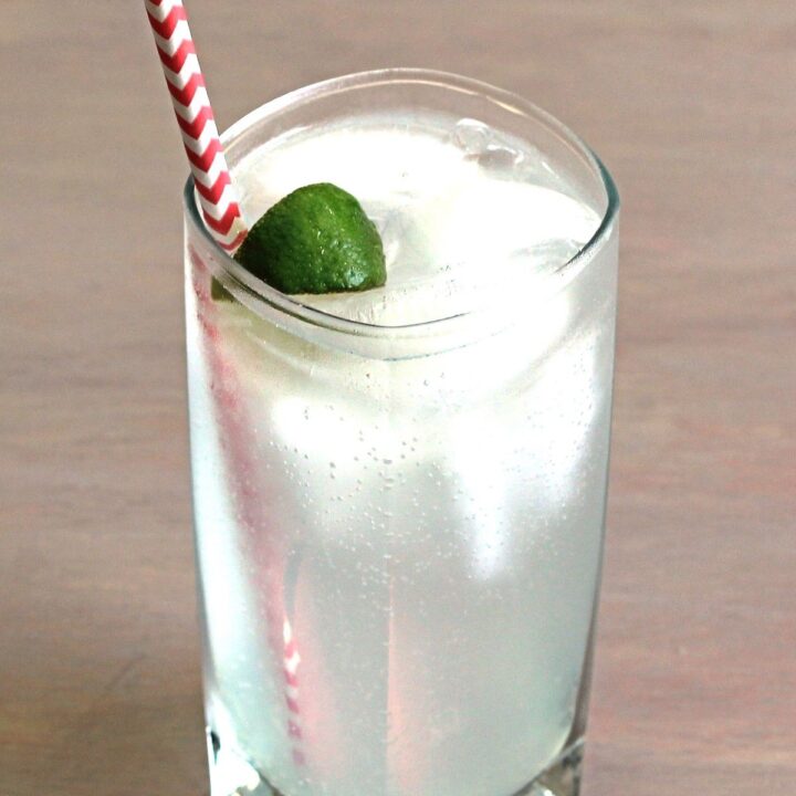 Gin & Tonic classic drink with lime squeeze