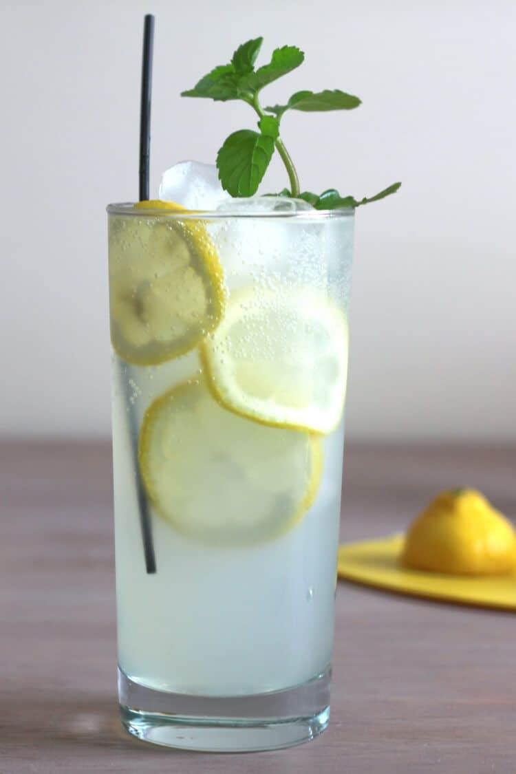 Gin cocktail with lemons and mint