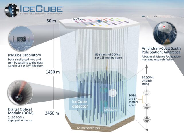 Schematic of IceCube