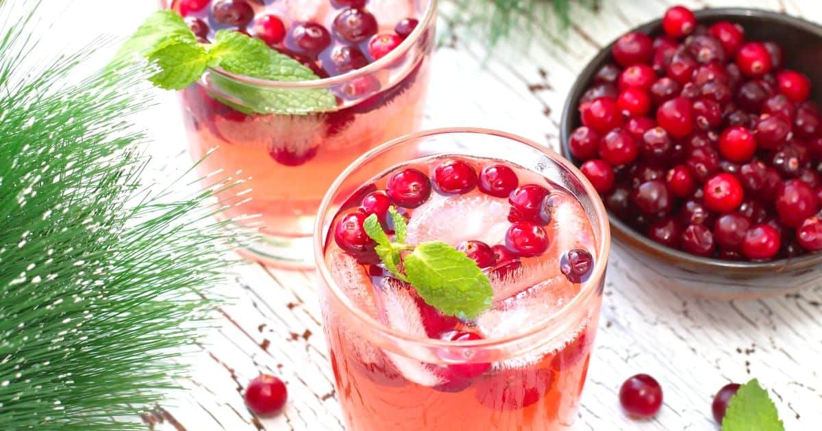 Pinkish Mistletoe Martinis cocktail with cranberries and mint leaves