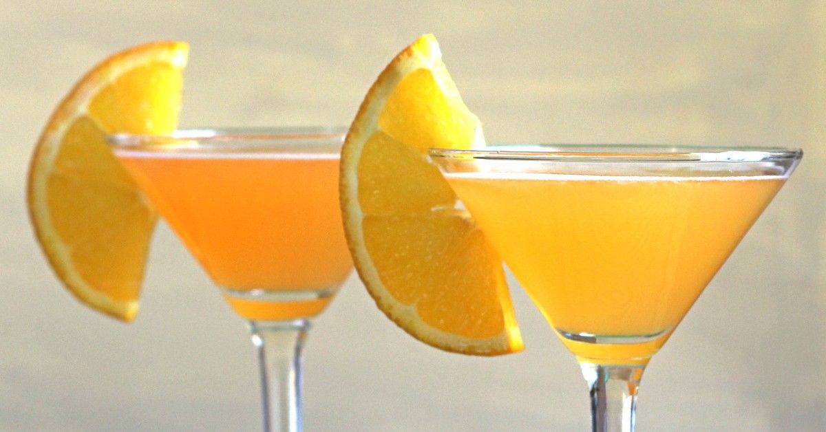 Closeup of Pilgrim Cocktails with orange slices