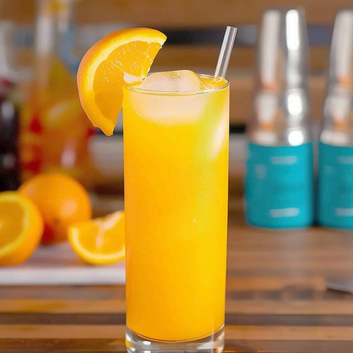 Screwdriver cocktail with orange slice on a bar table