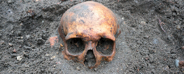 skull half buried in dark loam