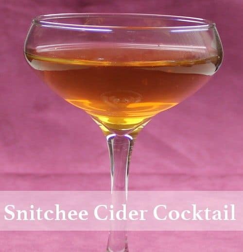 Snitchee's Cider drink in champagne saucer