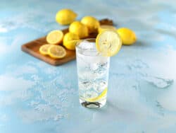 Tom Collins cocktail with lemon slice