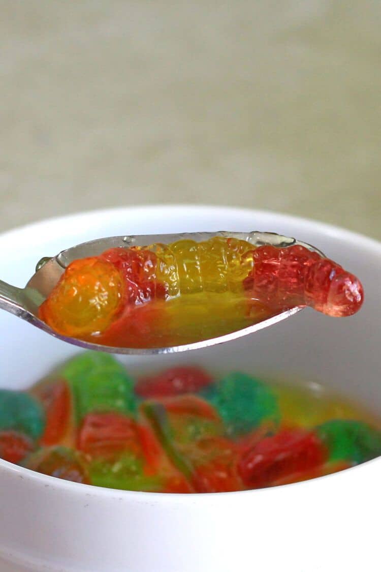 Vodka gummy worm in a spoon over a bowl of same